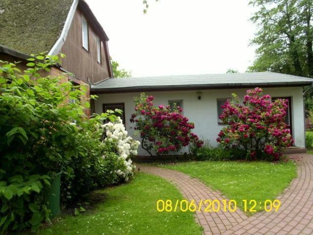Ferienwohnung "Kleine Deichperle" Prerow Exterior photo
